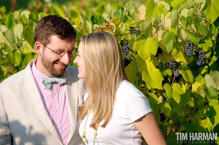 engagement shoot in an apple orchard