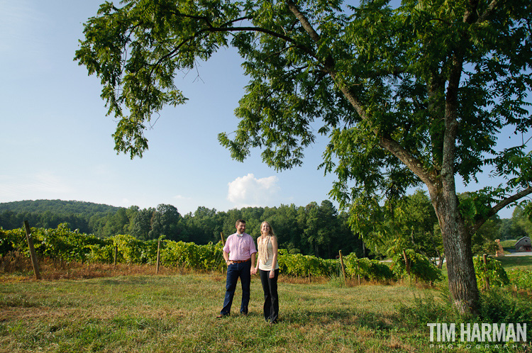 engagement shoot in an apple orchard