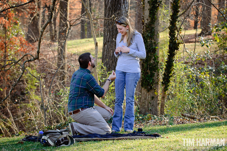 good places to propose in atlanta