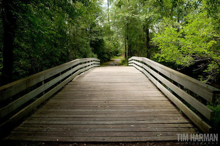 Battle of Moore's Creek Bridge