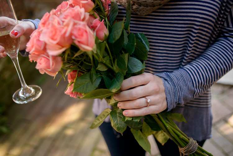 Proposal at Barnsley Gardens