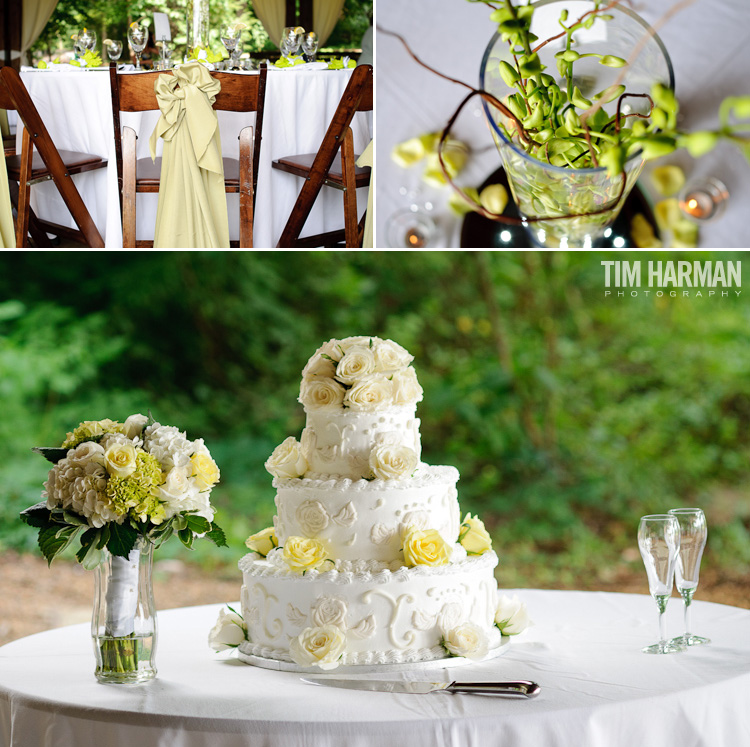 Wedding at Brasstown Valley Resort