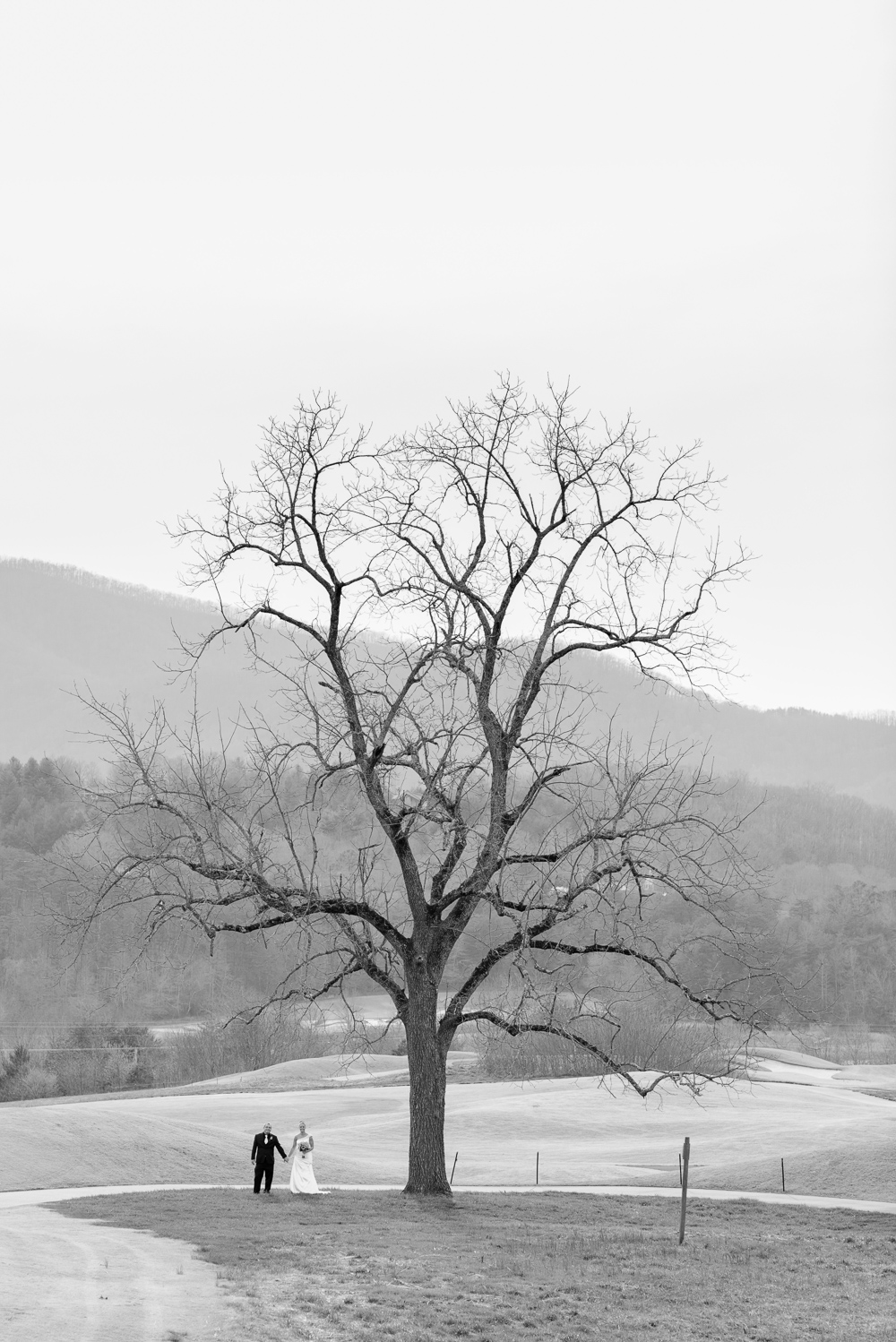 Wedding at Brasstown Valley Resort