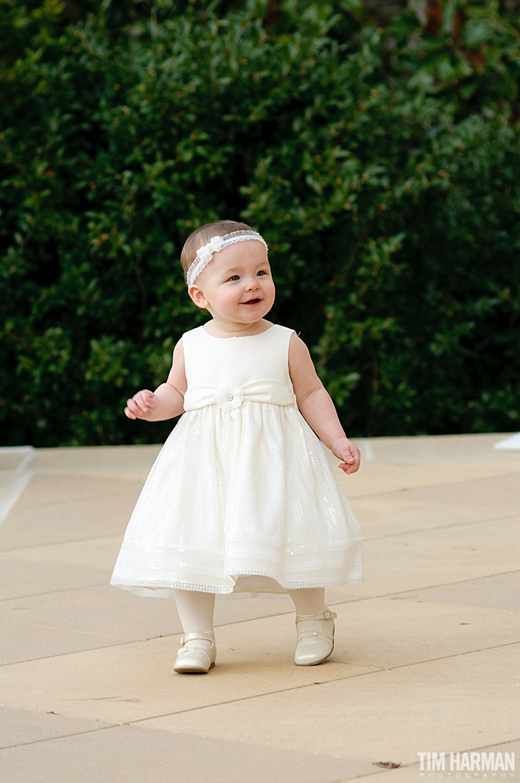 wedding at Fernbank Museum of Natural History, Atlanta, GA