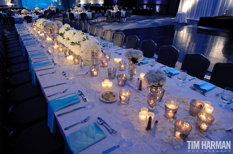 wedding ceremony reception georgia aquarium