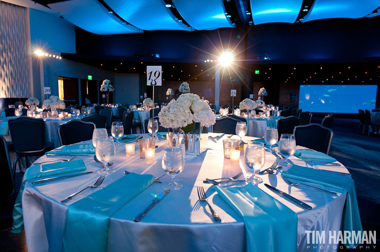 wedding ceremony reception georgia aquarium