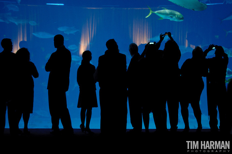 wedding ceremony reception georgia aquarium