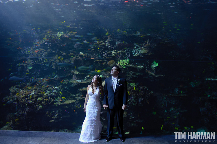 wedding ceremony reception georgia aquarium