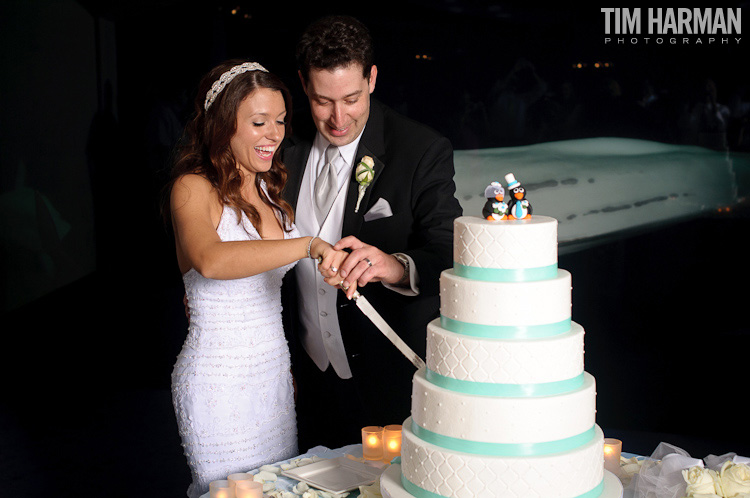 wedding ceremony reception georgia aquarium