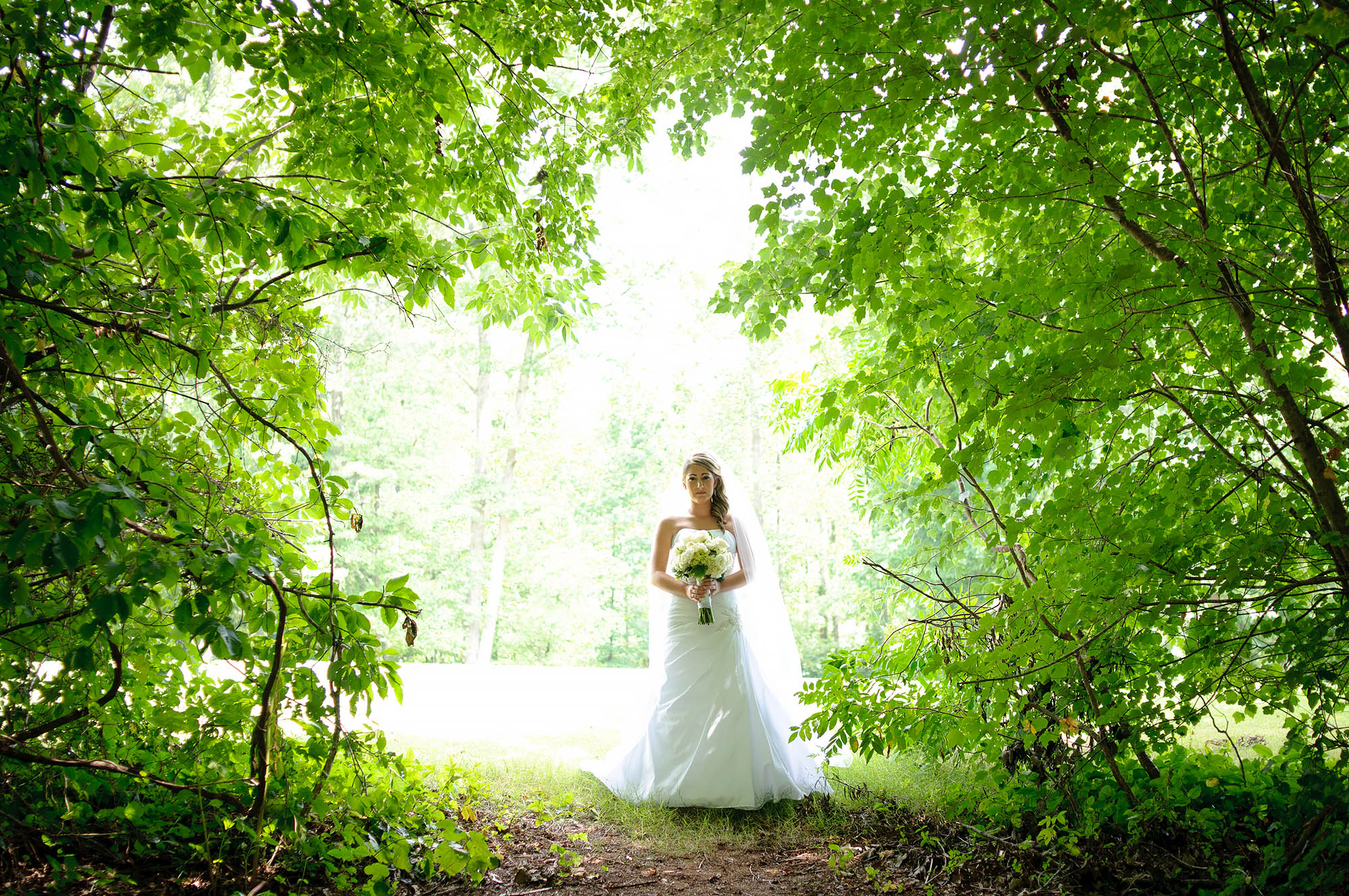 Jonathan and Jennifer | Wedding at Brasstown Valley Resort