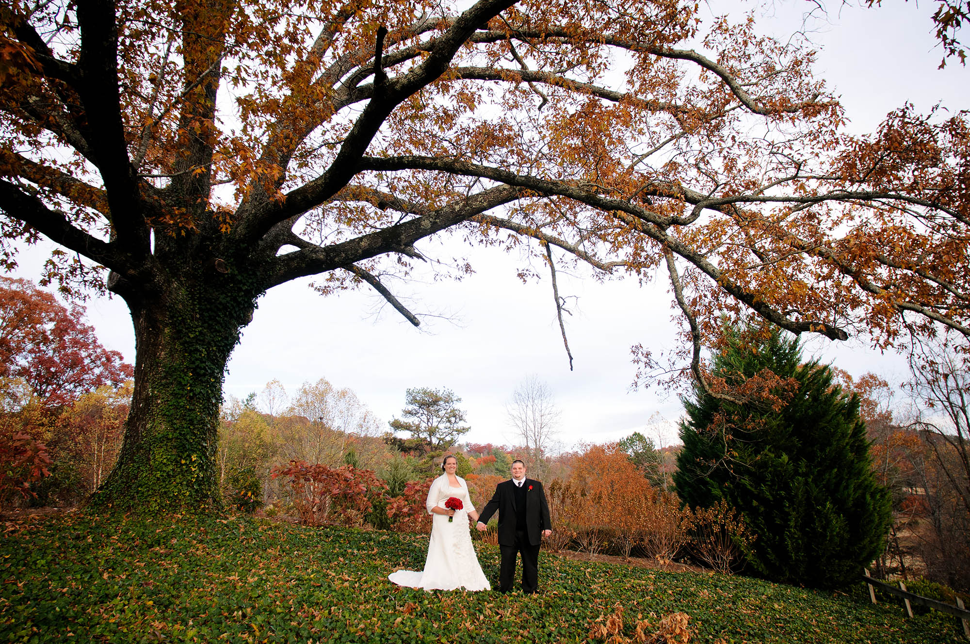 Nat and Jessica | Wedding and Reception at Kingwood Resort | Clayton, GA