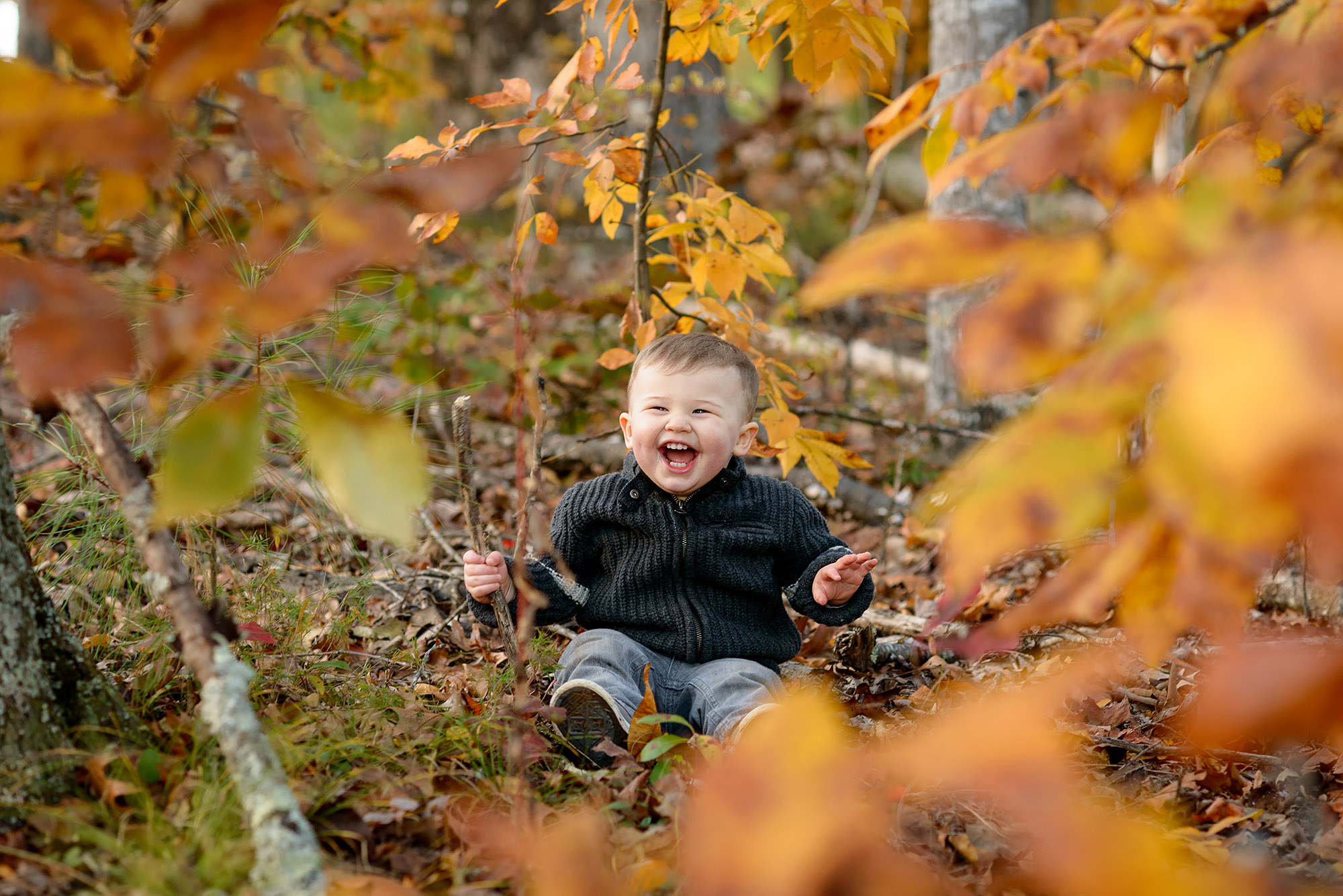 Fall Family Portraits