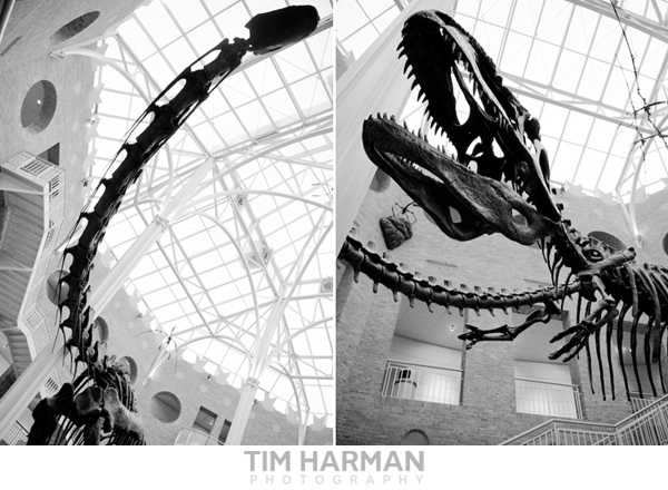 Fernbank Museum – Tim Harman Photography